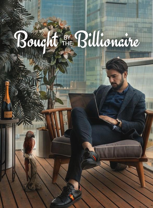 Story Game: Bought by the Billionaire Book Cover Image