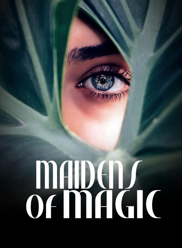 Story Game: Maidens of Magic Book Cover Image