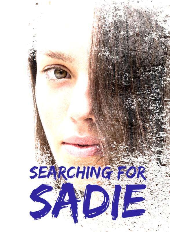 Story Game: Searching for Sadie Book Cover Image