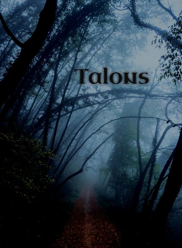 Story Game: Talons Book Cover Image