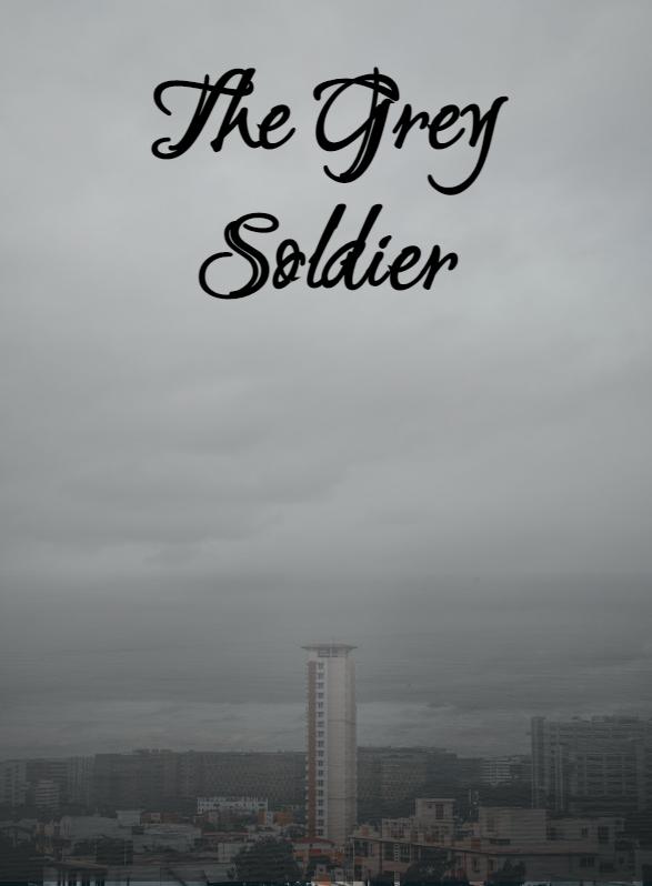 Story Game: The Grey Soldier Book Cover Image