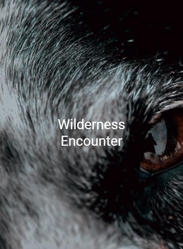 Story Game: Wilderness Encounter Book Cover Image