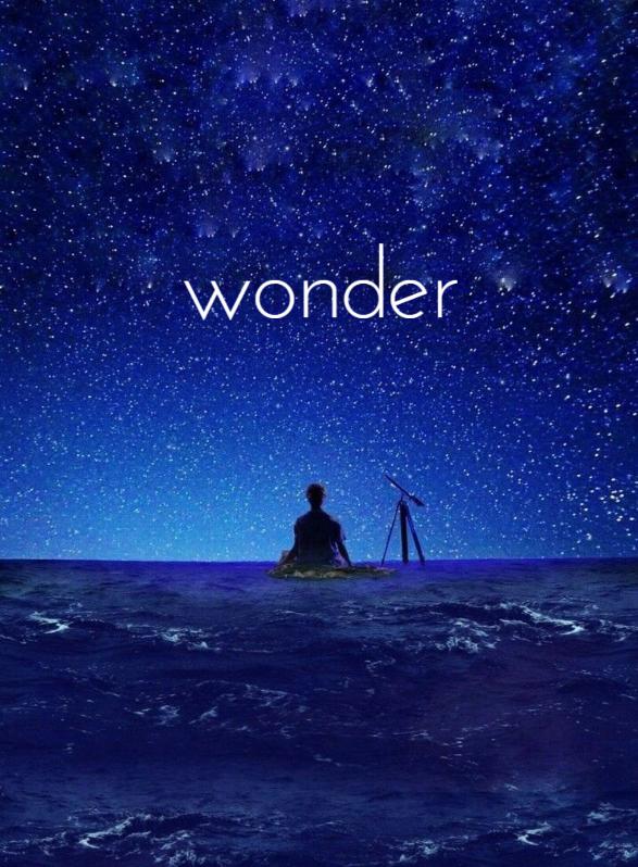 Story Game: wonder Book Cover Image
