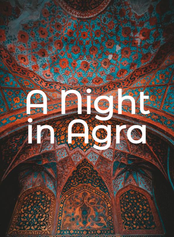 Story Game: A Night in Agra Book Cover Image