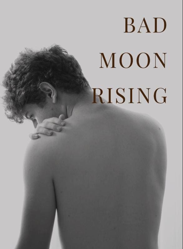 Story Game: Bad Moon Rising Book Cover Image