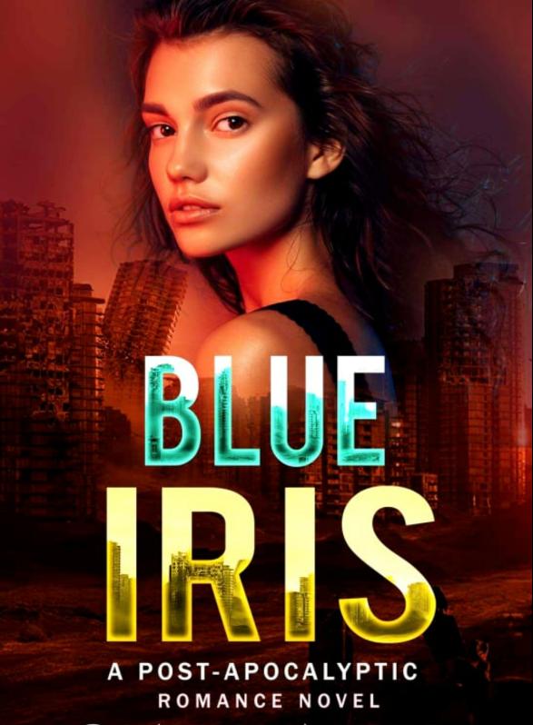 Story Game: Blue Iris Book Cover Image