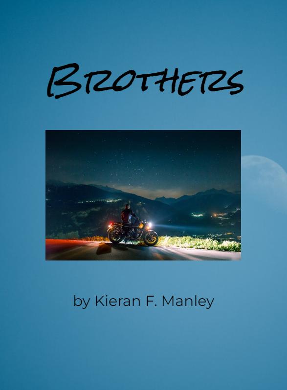 Story Game: Brothers Book Cover Image