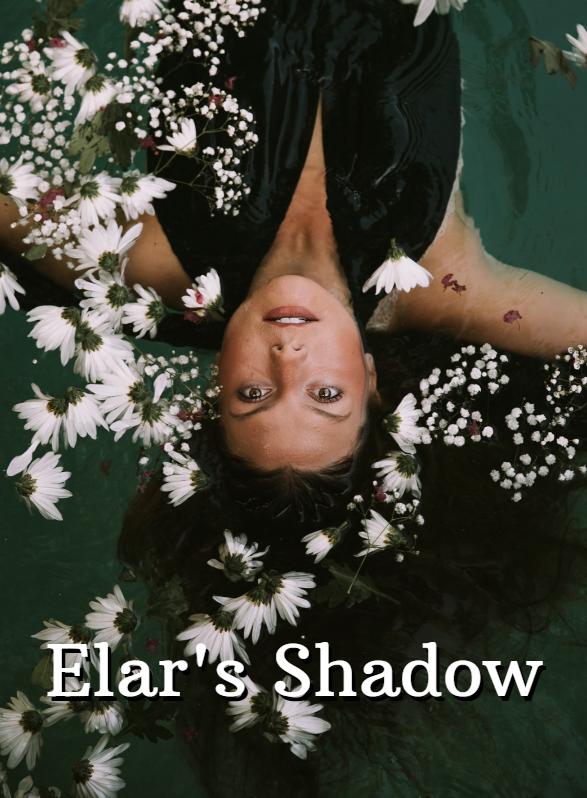 Story Game: Elar's Shadow Book Cover Image
