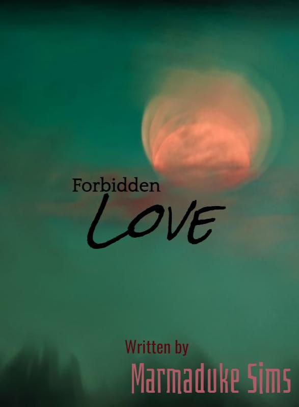 Story Game: Forbidden Love Book Cover Image