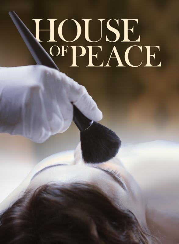 Story Game: House of Peace Book Cover Image
