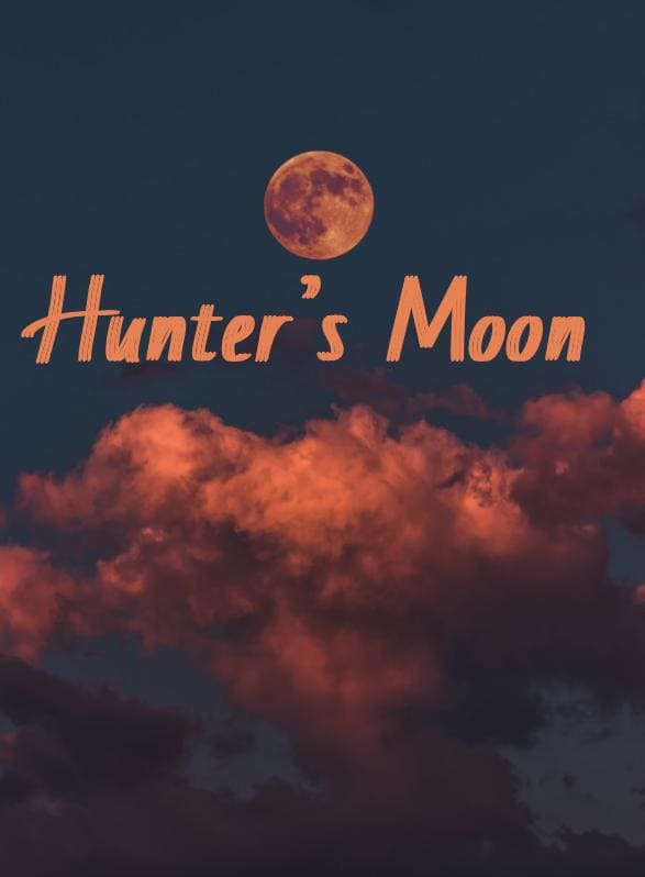 Story Game: Hunter’s Moon Book Cover Image