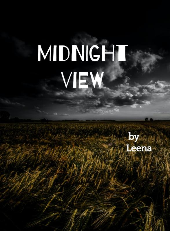 Story Game: Midnight view Book Cover Image