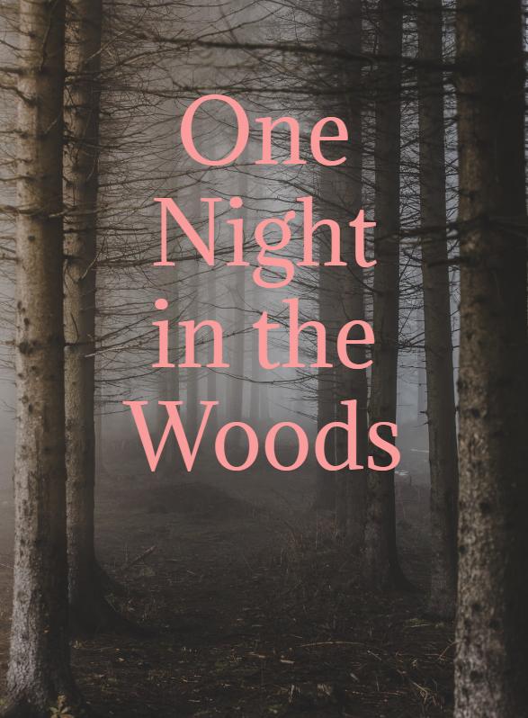 Story Game: One Night in the Woods Book Cover Image