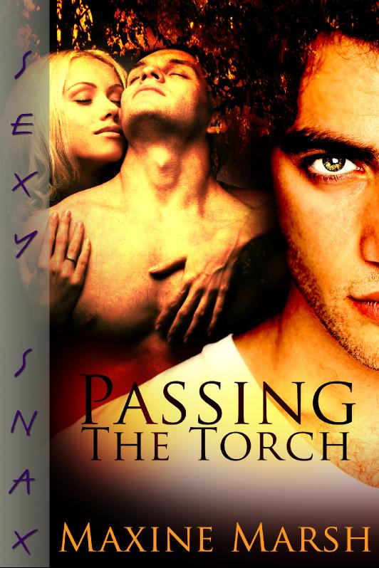 Story Game: Passing The Torch Book Cover Image