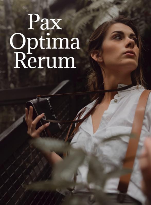 Story Game: Pax Optima Rerum Book Cover Image