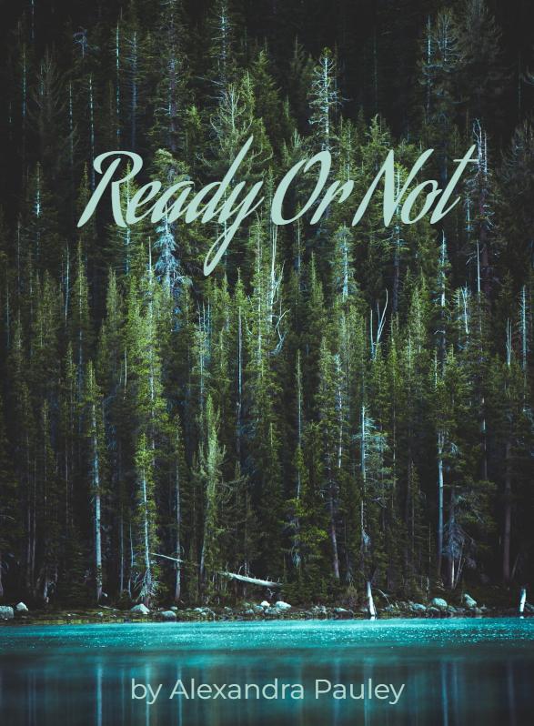 Story Game: Ready Or Not Book Cover Image