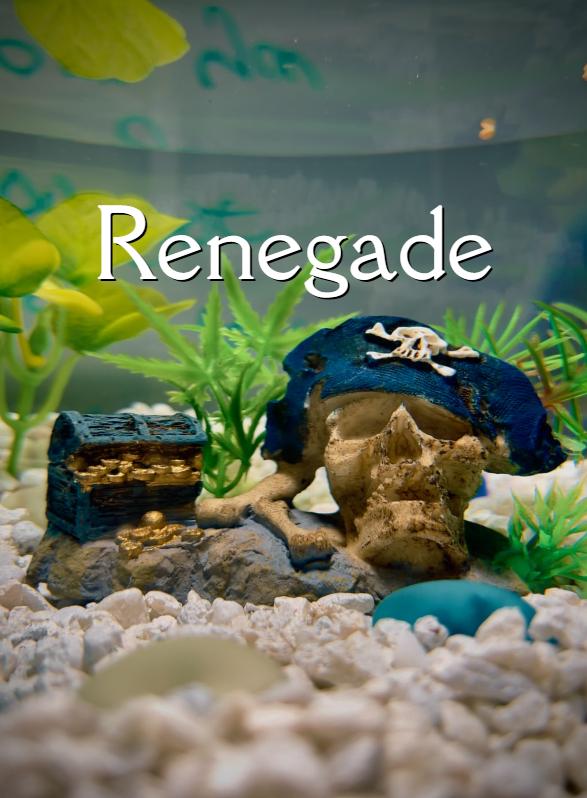 Story Game: Renegade Book Cover Image