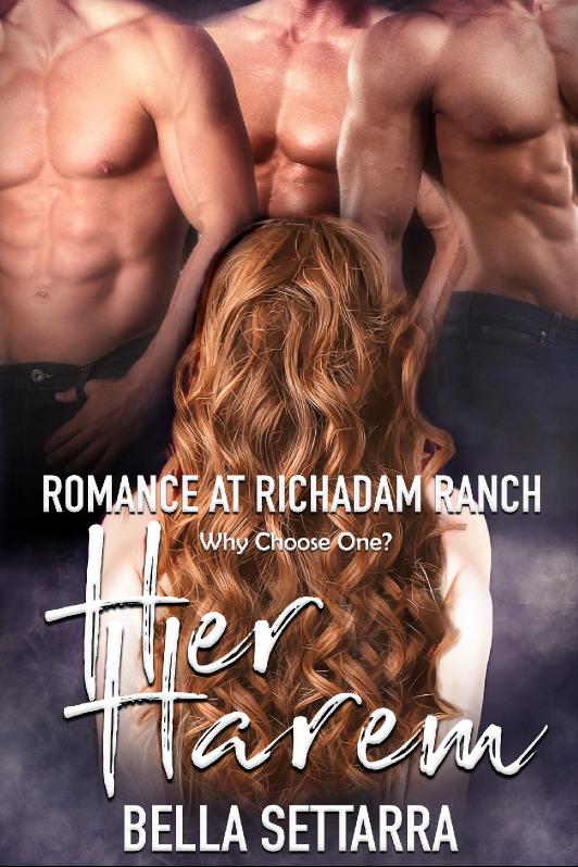 Story Game: Romance at Richadam Ranch Book Cover Image