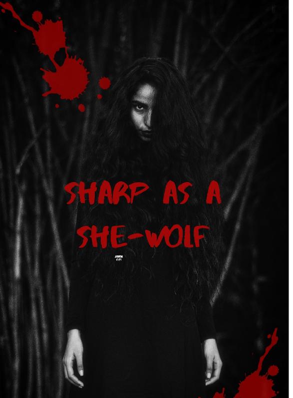 Story Game: Sharp as a She-Wolf Book Cover Image