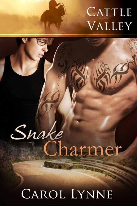 Story Game: Snake Charmer Book Cover Image