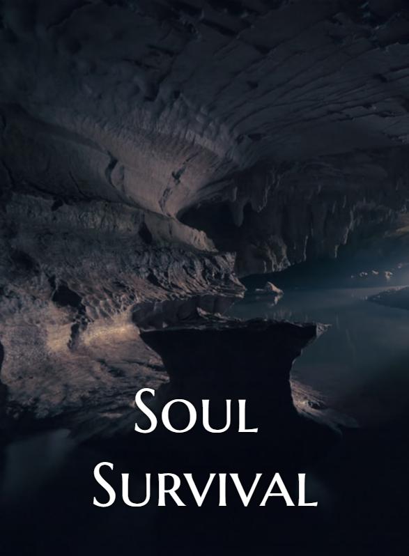 Story Game: Soul Survival Book Cover Image