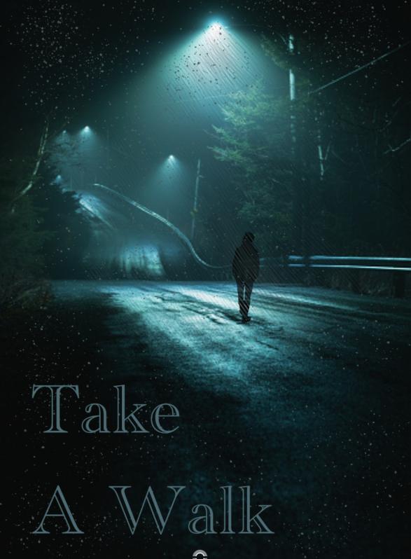 Story Game: Take A Walk Book Cover Image