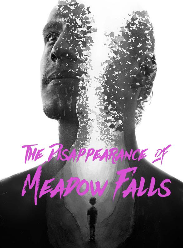 Story Game: The Disappearance of Meadow Falls Book Cover Image