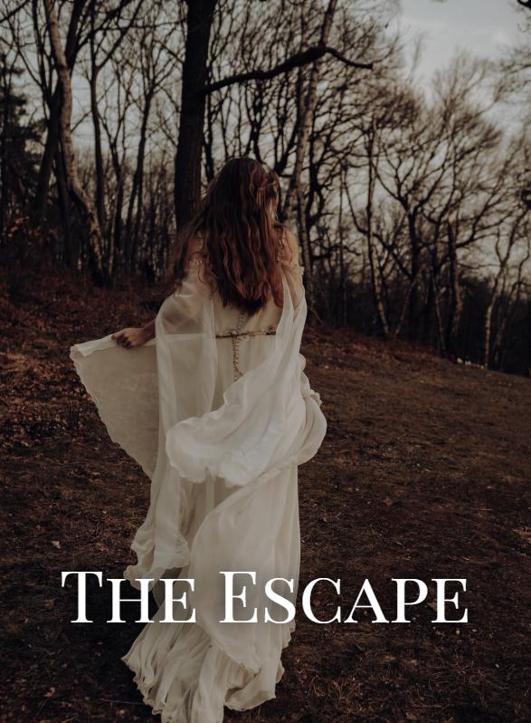 Story Game: The Escape Book Cover Image