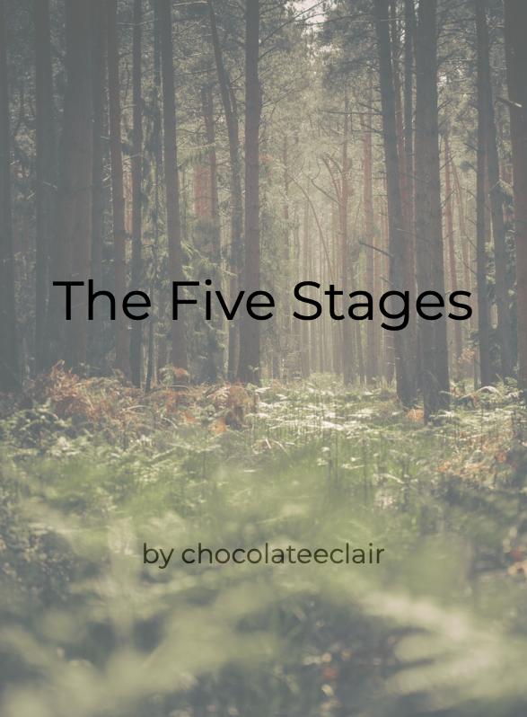 Story Game: The Five Stages Book Cover Image
