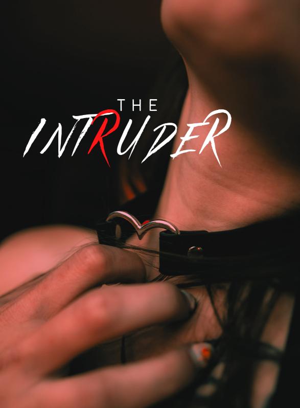 Story Game: The Intruder Book Cover Image