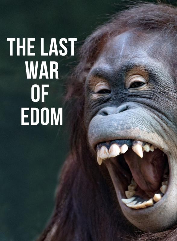 Story Game: The Last War of Edom Book Cover Image