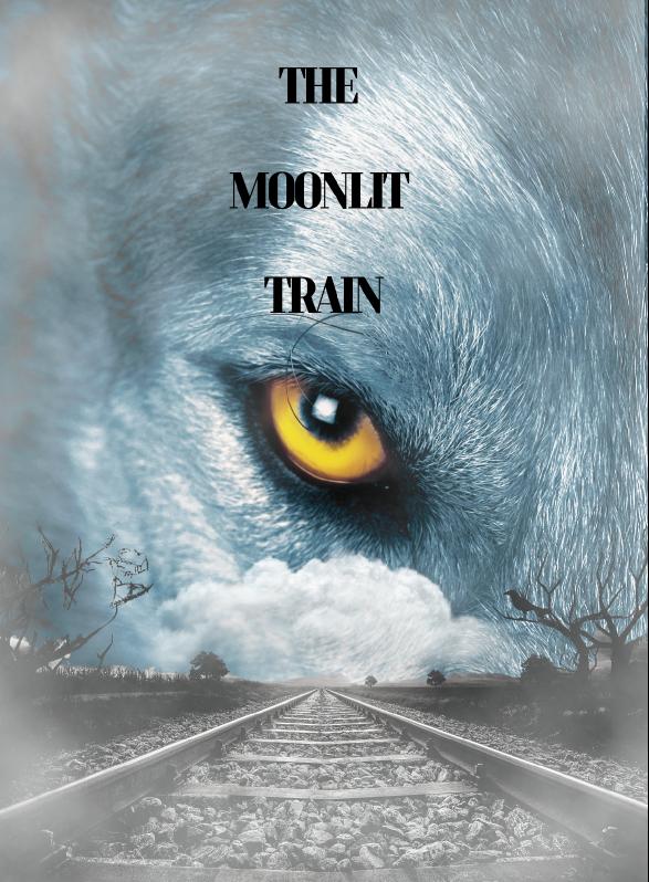 Story Game: The Moonlit Train Book Cover Image