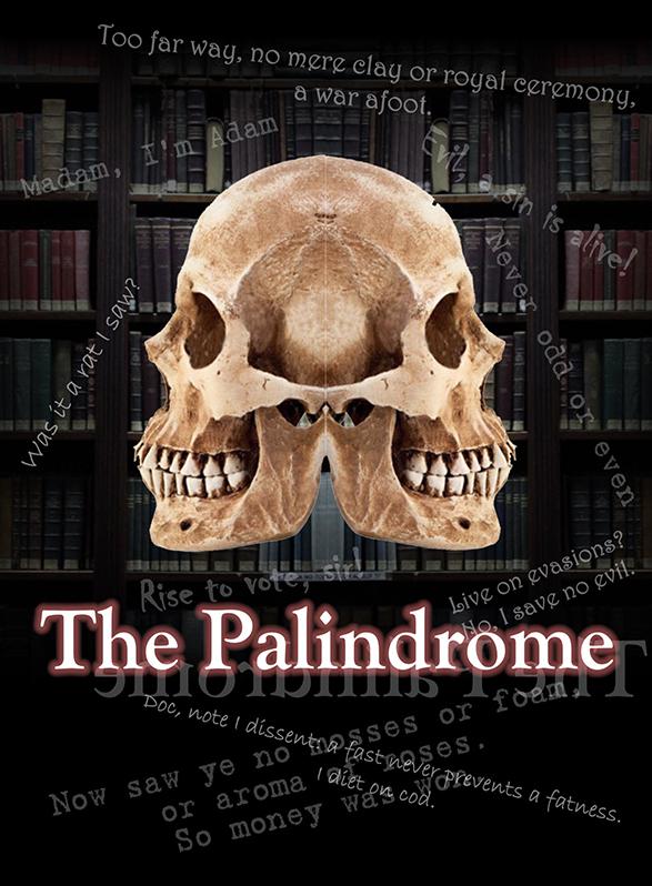 Story Game: The Palindrome Book Cover Image