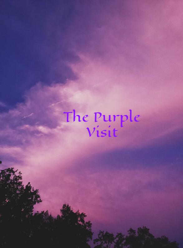 Story Game: The Purple Visit Book Cover Image