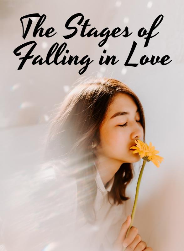 Story Game: The Stages of Falling in Love Book Cover Image