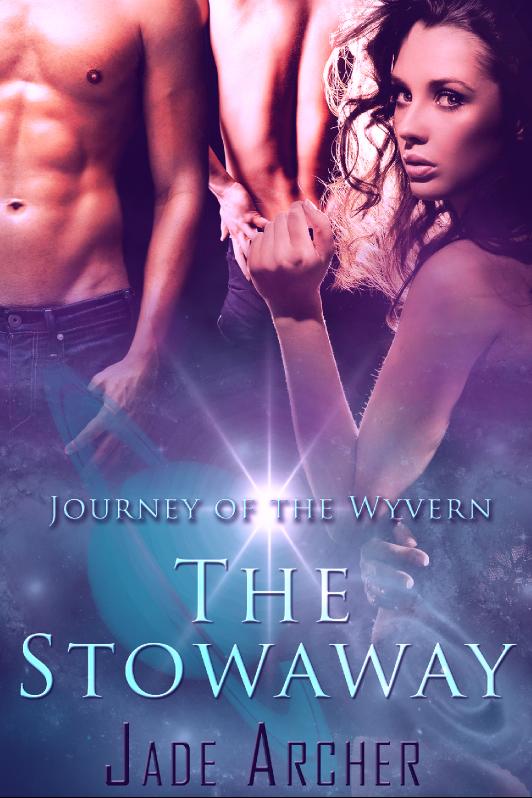 Story Game: The Stowaway Book Cover Image