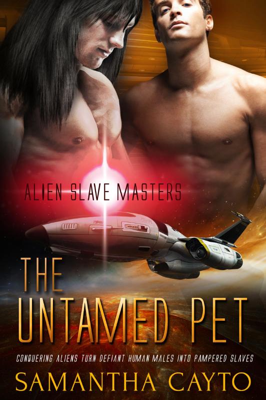 Story Game: The Untamed Pet Book Cover Image