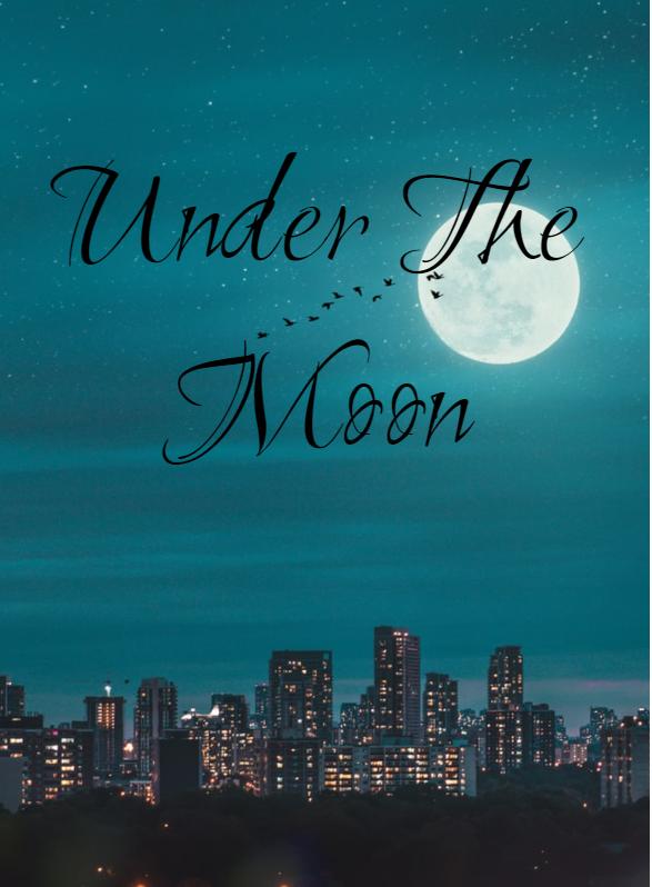 Story Game: Under The Moon Book Cover Image