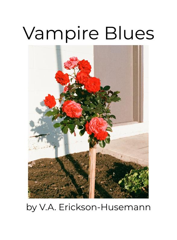 Story Game: Vampire Blues Book Cover Image