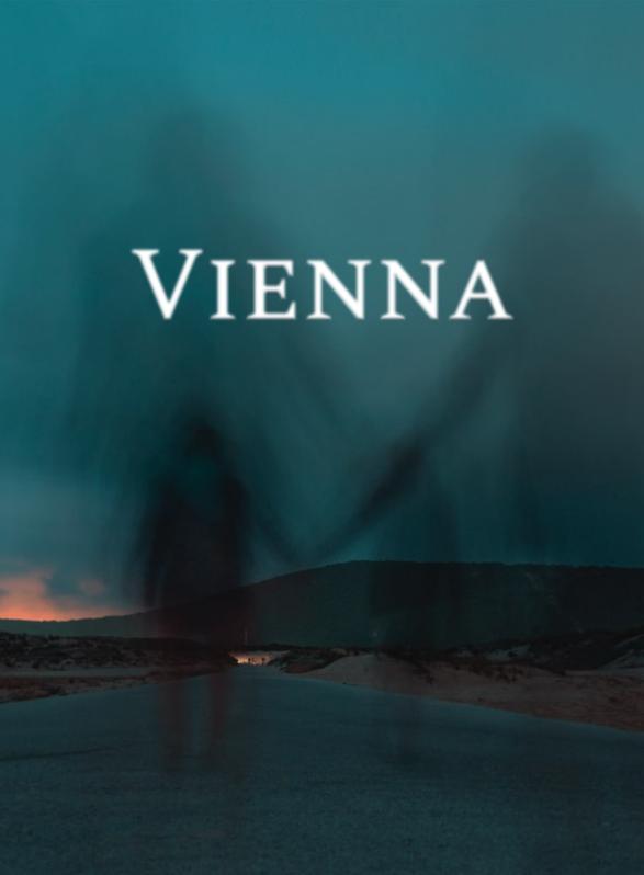 Story Game: Vienna Book Cover Image