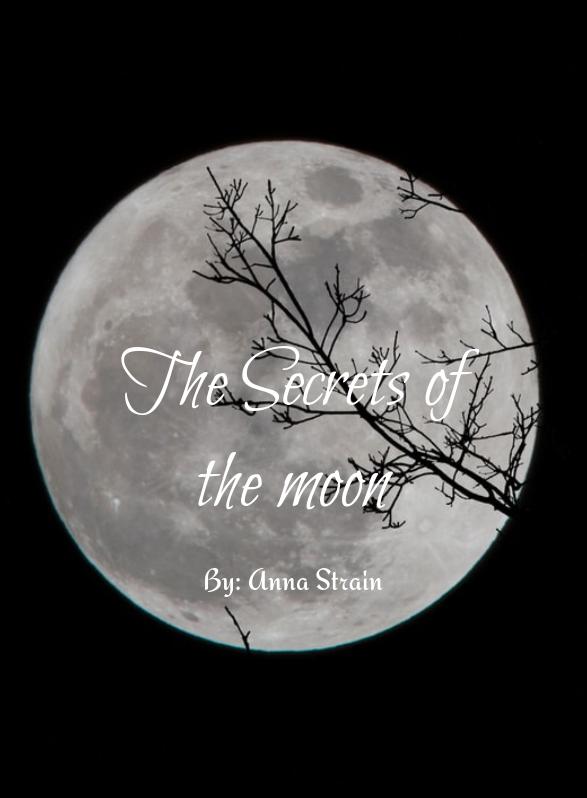 Story Game: the secrets of the moon Book Cover Image