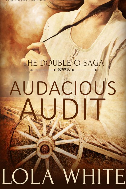 Story Game: Audacious Audit Book Cover Image
