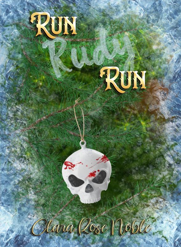 Story Game: Run, Rudy, Run Book Cover Image