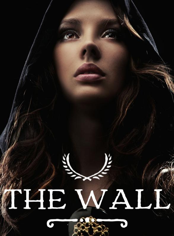 Story Game: Wall Book Cover Image