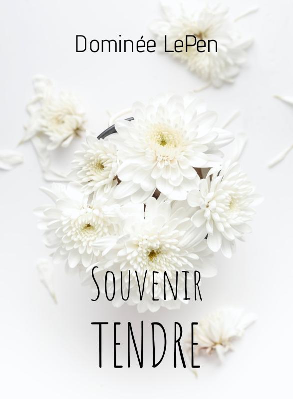 Story Game: Souvenir Tendre Book Cover Image