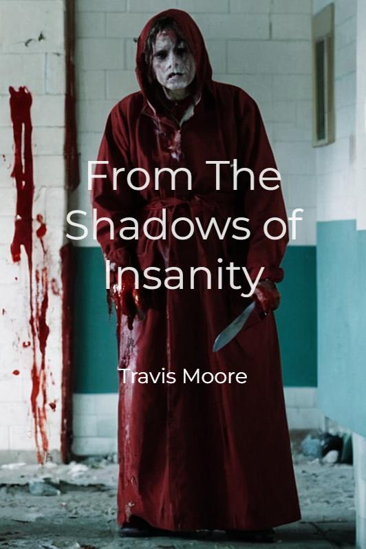 Story Game: From The Shadows of Insanity Book Cover Image